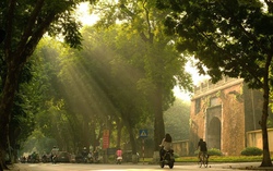 Vạt nắng dịu dàng
