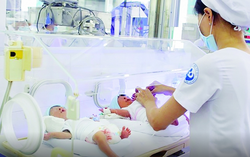Mức sinh giảm mạnh: Sống cho bản thân hay cho tương lai?