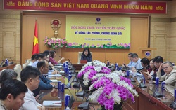Bộ Y tế họp khẩn liên quan đến bệnh sởi