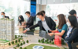 Tại sao nhiều môi giới bất động sản thất bại, bỏ nghề?