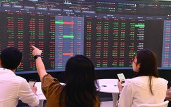 Chiến lược đầu tư nào cho thị trường chứng khoán năm 2025?