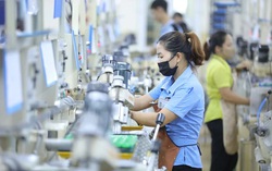 Thị trường lao động đầu năm 2025: Nhu cầu tuyển dụng tăng 19% so với năm trước