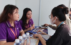 TPHCM: Hơn 1.000 cơ hội thực tập, việc làm dành cho sinh viên
