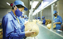 Thủ tướng chỉ thị thúc đẩy phát triển doanh nghiệp nhỏ và vừa