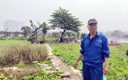 Dự án Công viên Chu Văn An: "Lá phổi xanh" thành nơi tập kết rác