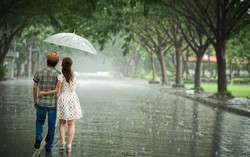 Truyện ngắn: Đội mưa mà về
