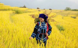 Phụ nữ Hà Nhì tự tin vận dụng mạng xã hội vào phát triển kinh tế du lịch