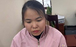 Bắt đối tượng nữ thuê hàng chục ô tô tự lái rồi mang đi bán