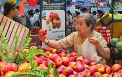 Sửa đổi, bổ sung mức thuế suất thuế nhập khẩu ưu đãi của một số mặt hàng 
