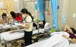 Làm rõ vụ 33 học sinh ở TPHCM nghi ngộ độc sau ăn bánh mì