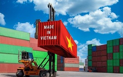 Chính sách thuế quan của Hoa Kỳ có thể thay đổi, dịch chuyển dòng chảy thương mại trên toàn cầu