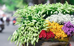 Ngày 8/3 bình dị của những nữ công nhân