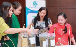 30 năm thực hiện Cương lĩnh hành động Bắc Kinh: Việt Nam trên "bản đồ" bình đẳng giới quốc tế