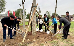 Ninh Bình: Hội LHPN TP Hoa Lư trồng "Đường cây đoàn kết" dịp 8/3