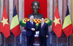 Việt Nam luôn coi trọng và mong muốn tăng cường hợp tác nhiều mặt với Bỉ