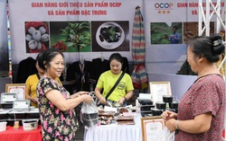 Cao Bằng: Tích cực tìm kênh tiêu thụ cho sản phẩm Thạch đen truyền thống
