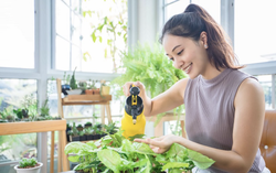 Những hoạt động làm dịu tâm hồn