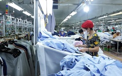 Thành lập Đoàn đàm phán Chính phủ về các vấn đề thương mại với Hoa Kỳ