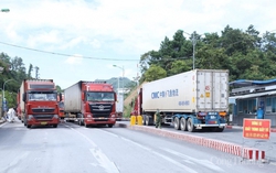 Lạng Sơn: Điều tiết giao thông khu vực cửa khẩu phục vụ giao lưu quốc phòng Việt - Trung