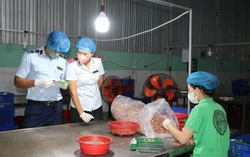 Lập 5 đoàn kiểm tra liên ngành kiểm tra an toàn thực phẩm tại 10 tỉnh