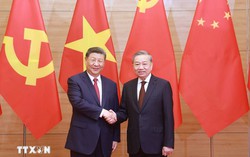 Tổng Bí thư Tô Lâm hội đàm với Tổng Bí thư, Chủ tịch nước Trung Quốc Tập Cận Bình
