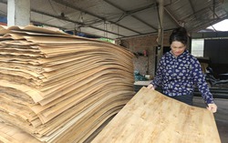 Thúc đẩy tư duy thị trường tốt cho phụ nữ nông thôn làm kinh tế
