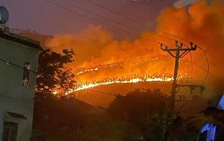 Hà Nam: Tập trung lực lượng chữa cháy rừng