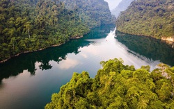 Phê duyệt Nhiệm vụ lập Quy hoạch tu bổ, phục hồi Khu bảo tồn thiên nhiên Na Hang - Lâm Bình