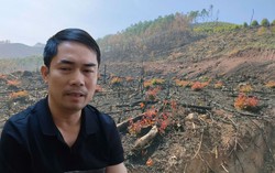 Bắc Giang: Mở rộng điều tra vụ 1.000ha đất có rừng tự nhiên bị hủy hoại