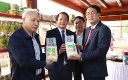 Ứng dụng công nghệ trong sản xuất nông nghiệp: Còn chênh lệch giữa các vùng
