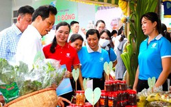 Phụ nữ Tiền Giang đẩy mạnh ứng dụng công nghệ số trong kinh doanh