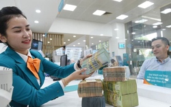 Đề xuất giao Ngân hàng Nhà nước quyết định cho vay đặc biệt lãi suất 0%, không tài sản bảo đảm