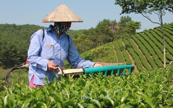 Tràng Định: Giảm nghèo bắt đầu từ thông tin 