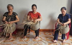 Nam Định đẩy mạnh đào tạo nghề, tạo việc làm cho phụ nữ nông thôn
