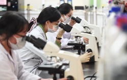 Nghị định số 92/2025/NĐ-CP quy định về chế độ, chính sách đối với chuyên gia cao cấp