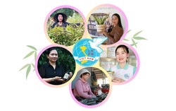 Phụ nữ "xứ Tiên" sáng tạo nhiều sản phẩm OCOP từ thảo mộc địa phương