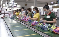 "Mức thuế Hoa Kỳ dự kiến áp cho hàng hóa Việt Nam là chưa công bằng"