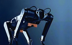 Robot 4 chân nhanh nhất thế giới