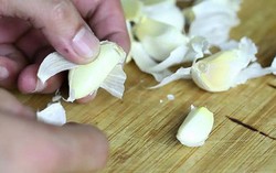 Nhóm sinh viên ở TPHCM chế tạo viên nén sinh khối từ vỏ tỏi