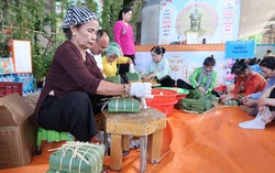 Con cháu đất phương Nam gói bánh chưng hướng về lễ Giỗ Tổ
