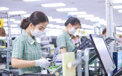 Khảo sát tác động của chính sách thuế đối ứng đến các doanh nghiệp xuất khẩu sang Hoa Kỳ