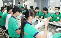 Quý I/2025: Thu nhập bình quân tháng của lao động nam cao hơn nữ 2,2 triệu đồng