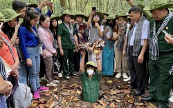 Địa đạo Củ Chi - một huyền thoại của Việt Nam trong thế kỷ 20