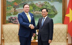 Phó Thủ tướng Chính phủ Bùi Thanh Sơn tiếp Đại sứ Hoa Kỳ tại Việt Nam