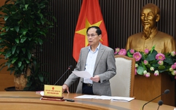 Phó Thủ tướng Bùi Thanh Sơn họp Tổ công tác 
thích ứng với chính sách thương mại của Hoa Kỳ