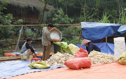 Giải pháp bảo đảm sinh kế cho người lao động sau thiên tai