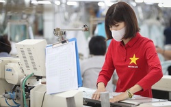 Đồng hành, hỗ trợ cộng đồng doanh nghiệp Việt phát triển thương hiệu, nâng cao vị thế
