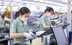 Thủ tướng yêu cầu tạo lập môi trường đầu tư kinh doanh thuận lợi cho doanh nghiệp