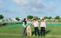 Diện mạo mới của huyện đảo Lý Sơn nhờ nguồn vốn chính sách