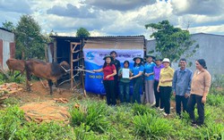 Quay vòng mô hình sinh kế "Bò cái sinh sản" cho phụ nữ nghèo